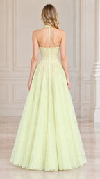 Back view of model wearing light yellow open back halter lace gown